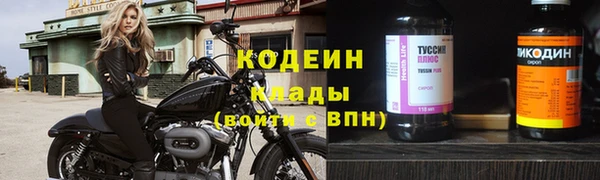 гидра Арсеньев