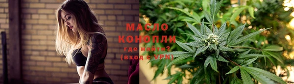гидра Арсеньев