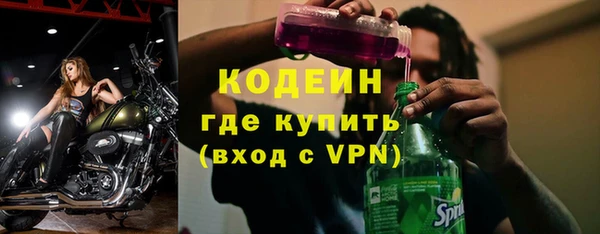 гидра Арсеньев