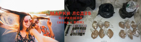 тгк Армянск