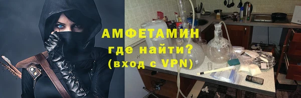 гидра Арсеньев