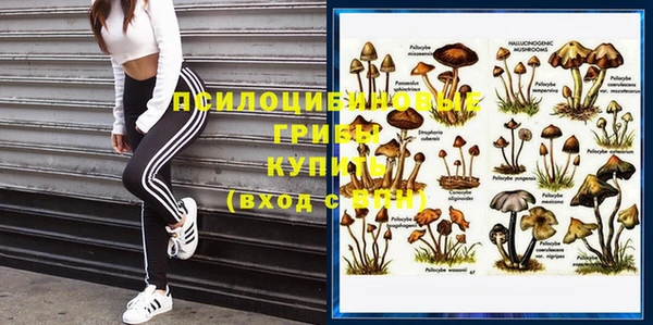 спайс Аркадак