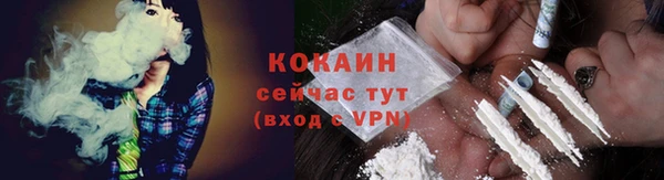 гидра Арсеньев