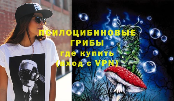 спайс Аркадак